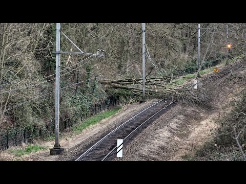 Geen treinen tussen Kerkrade en Eygelshoven vanwege boom op het spoor