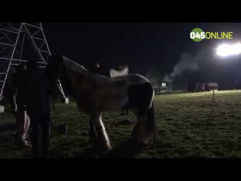 Paarden omgekomen bij grote brand in manege Heerlen