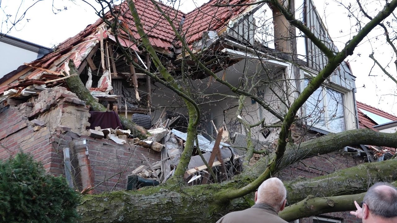 Omgevallen boom slaat gevel uit huis Brunssum