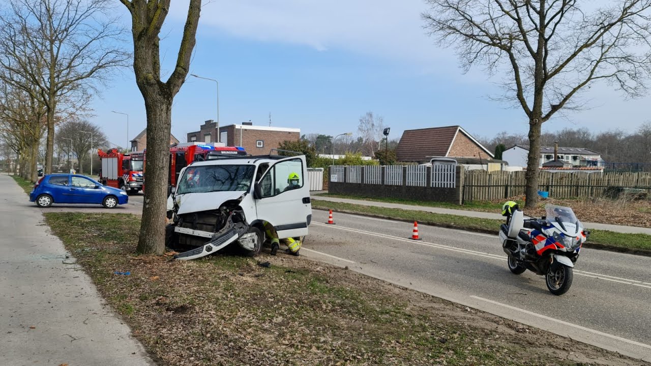 Busje botst tegen boom: bestuurder gewond