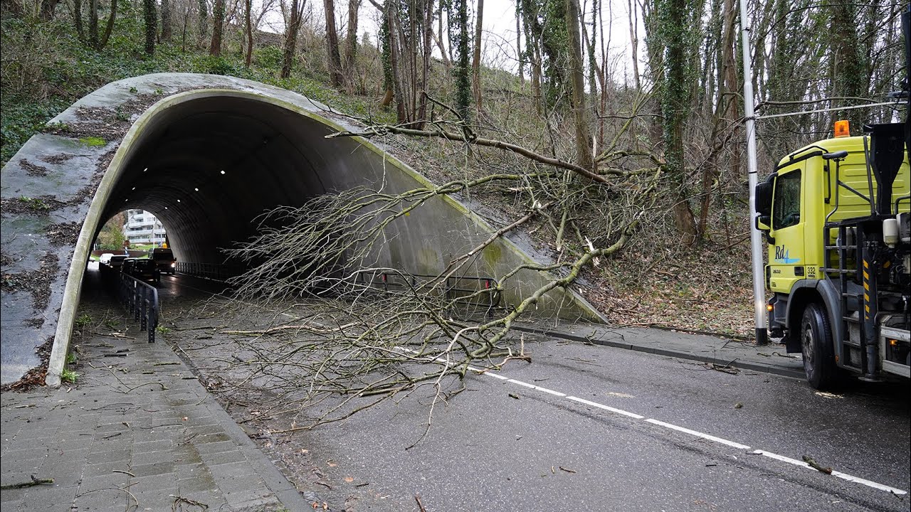 Omgewaaide boom blokkeert tunnel in Kerkrade