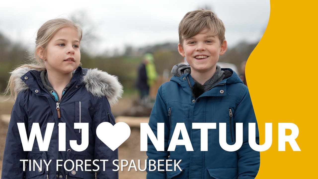 Wij 💚 natuur – Tiny Forest in Spaubeek