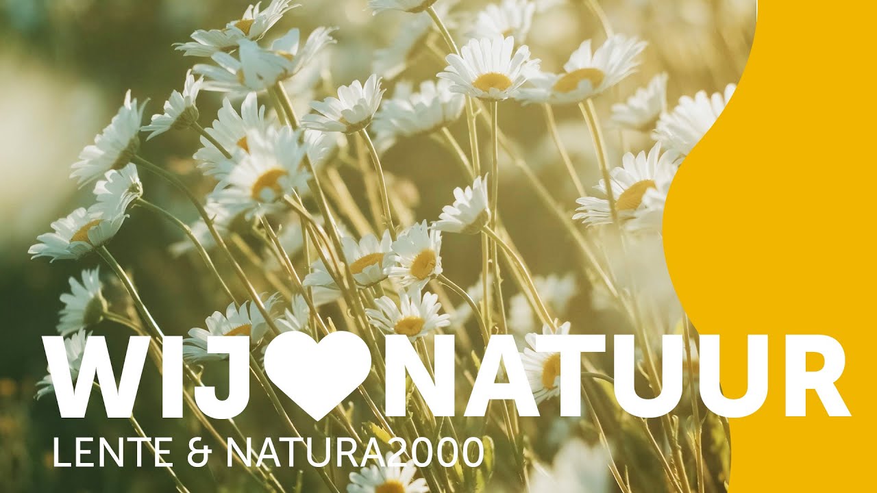 Wij 💚 natuur: wat zijn Natura 2000-gebieden?